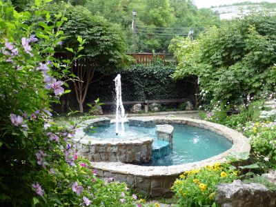 Circulate the Water in Your Pond with Pond Pump Installation!